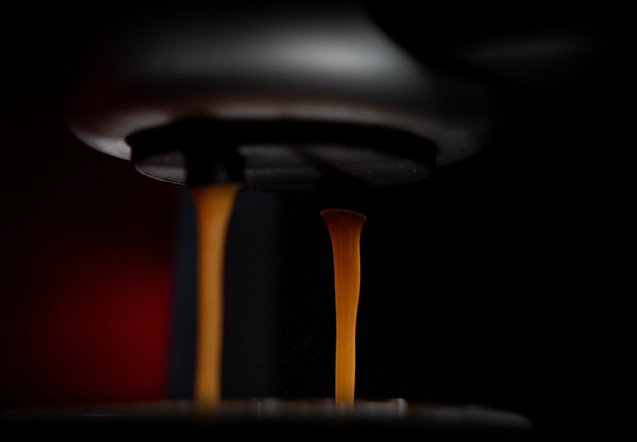 Gaggia Espresso Evolution - Image 4
